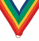 Neck Ribbon: Rainbow  - Item #RX5