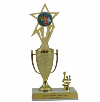 Science 1st, 2nd and 3rd Place Award Cup Trophy - Click to enlarge