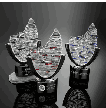 Scimitar Award - Click to enlarge