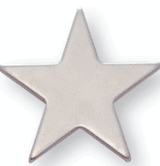 Silver Pin - 1 Inch Flat