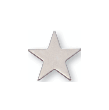 Silver Pin - 1 Inch Flat - Click to enlarge