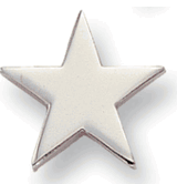 Silver Pin - 3/4 Inch Flat (BR Series)