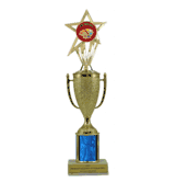 Single Column Cup & Insert Trophy - Art