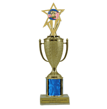 Single Column Cup & Insert Trophy - Citizenship - Click to enlarge
