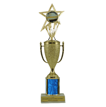 Single Column Cup & Insert Trophy - Gymnastics - Click to enlarge