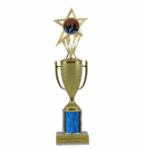 Single Column Cup & Insert Trophy - Karate