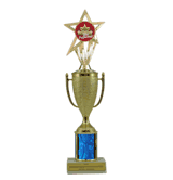 Single Column Cup & Insert Trophy - Star Performer