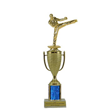 Single Column Cup Trophy - Karate - Click to enlarge