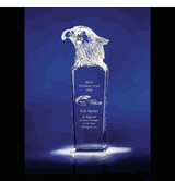 Sky Master Eagle Award