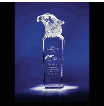 Sky Master Eagle Award - Click to enlarge
