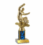 Snowboarding Trophies and Awards