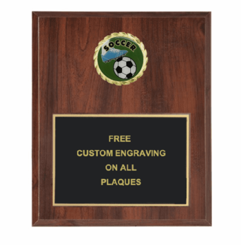 Soccer Insert Plaque - Click to enlarge