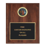 Soccer Insert Plaque (Multiple Styles)