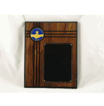 Special Achievement Award Plaque - Click to enlarge