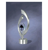Stainless Power & Beauty Award (Silver)
