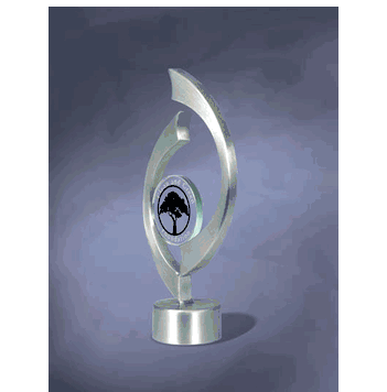 Stainless Power & Beauty Award (Silver) - Click to enlarge