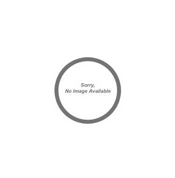 First Armor Division Medal Insert (Etched) - Click to enlarge