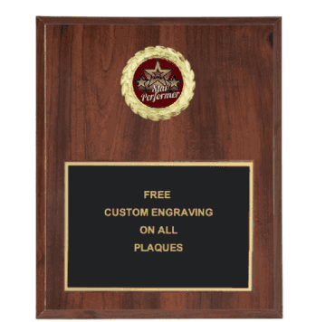 Star Performer Insert Plaque (Multiple Styles) - Click to enlarge