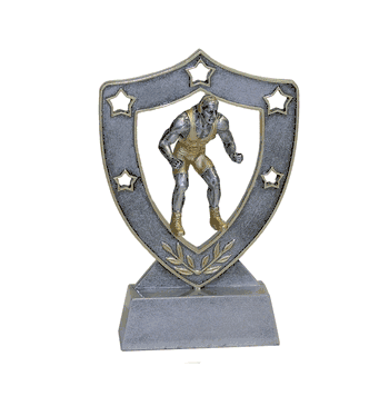 Star Shield Engraved Trophy - Wrestling - Click to enlarge