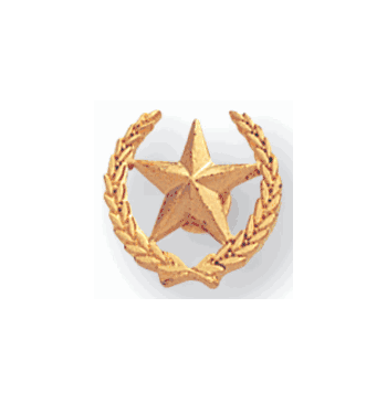 Star & Wreath Pin - 1/2 Inch (BR Series) - Click to enlarge