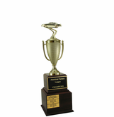 Stock Car Perpetual Trophy