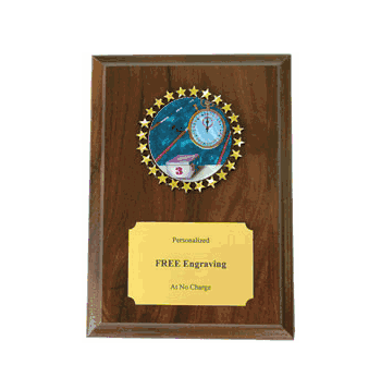 Swimming Holographic Decal Plaque - Click to enlarge