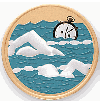 Swimming Medal Insert (493231) - Click to enlarge