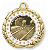Swimming Race Medals with Personalized School, Team or Event Name