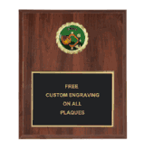 T-Ball Insert Plaque (Multiple Styles)