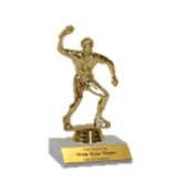 Table Tennis / Ping Pong