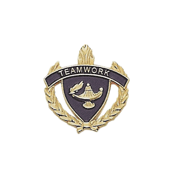 Teamwork Lapel & Letter Pins - Click to enlarge