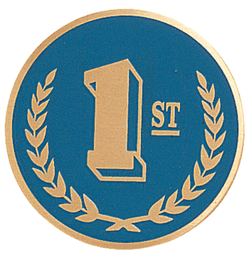 Third Place Medal Insert (Etched) - Click to enlarge