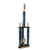 Top Basketball Awards in the US: High School, College, and Pros