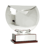 Treviso Sartor European Silver Cup Award