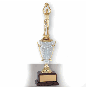 Trophy with Acrylic Cup - Click to enlarge