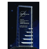 Unique Steps to Success Awards