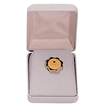 Velour Pin Box - Click to enlarge