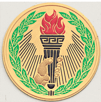 Victory Litho Medal Insert - Click to enlarge