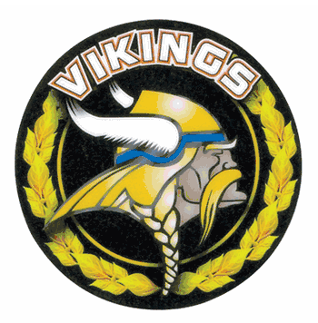 Vikings Mascot Medal Insert - Click to enlarge