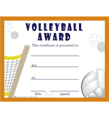 Volleyball Free Template