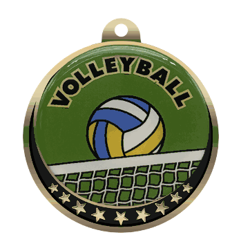 Volleyball Insert Medal - Click to enlarge