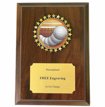 Volleyball Insert Plaque - Click to enlarge