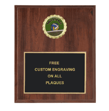 Volleyball Insert Plaque (Multiple Styles) - Click to enlarge