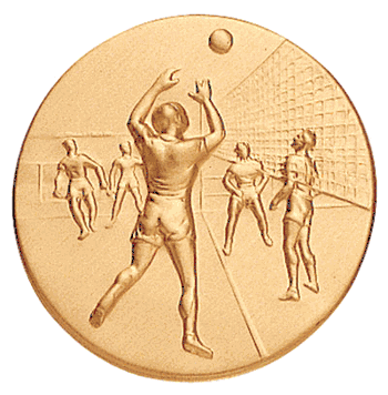 Volleyball Male Litho Medal Insert - Click to enlarge