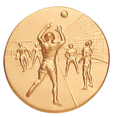 Volleyball Male Litho Medal Insert