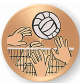 Volleyball Medal Insert