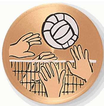 Volleyball Medal Insert - Click to enlarge
