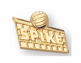 Volleyball Pins