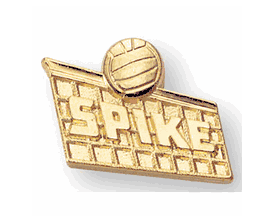 Volleyball Pins