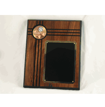 Volleyball Plaque - Click to enlarge